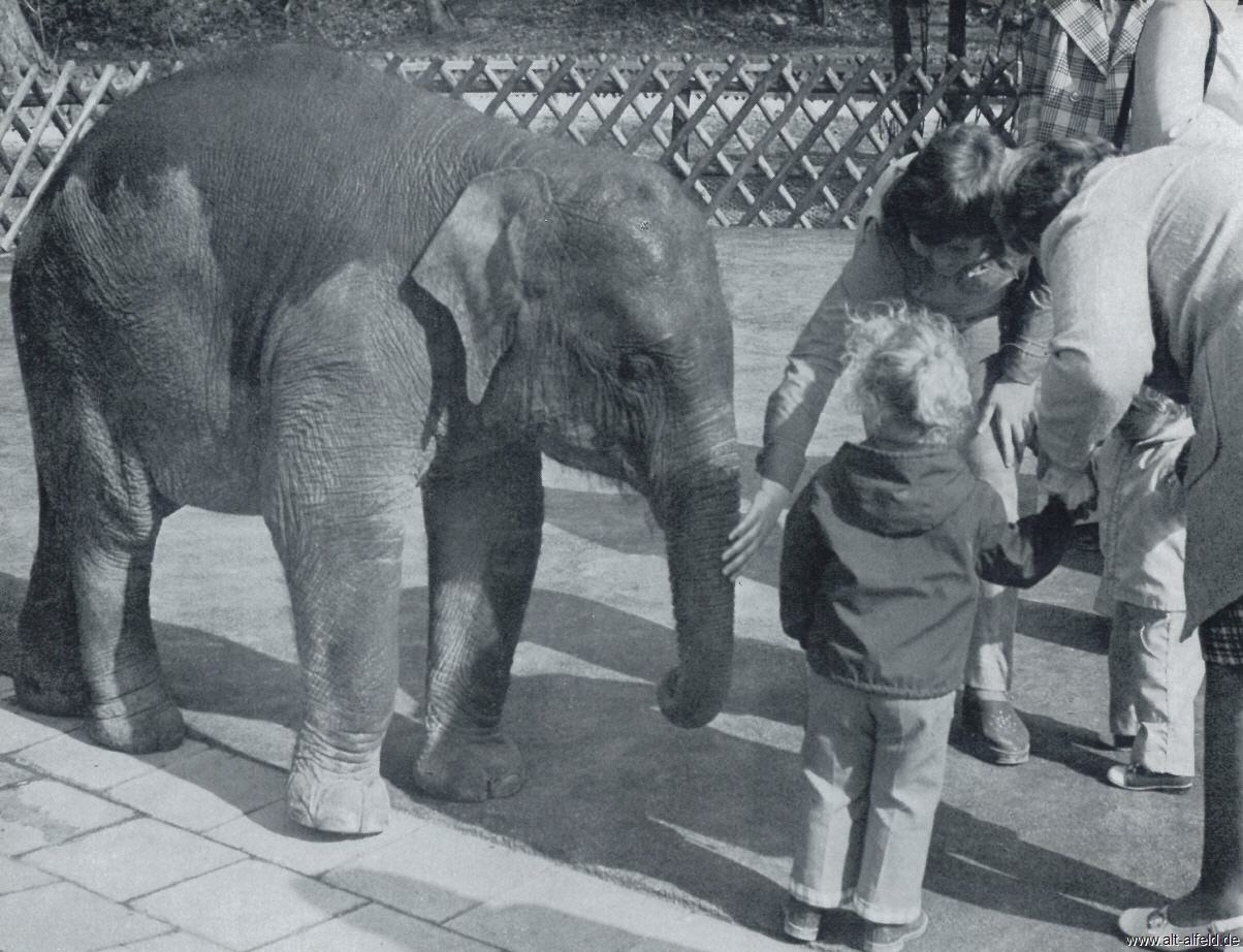 Brunkensen Kinderzoo in Germany Germany