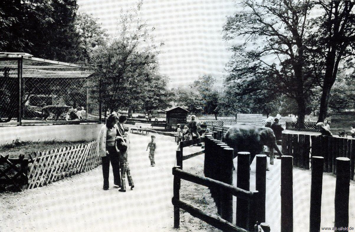 Brunkensen Kinderzoo in Germany Germany