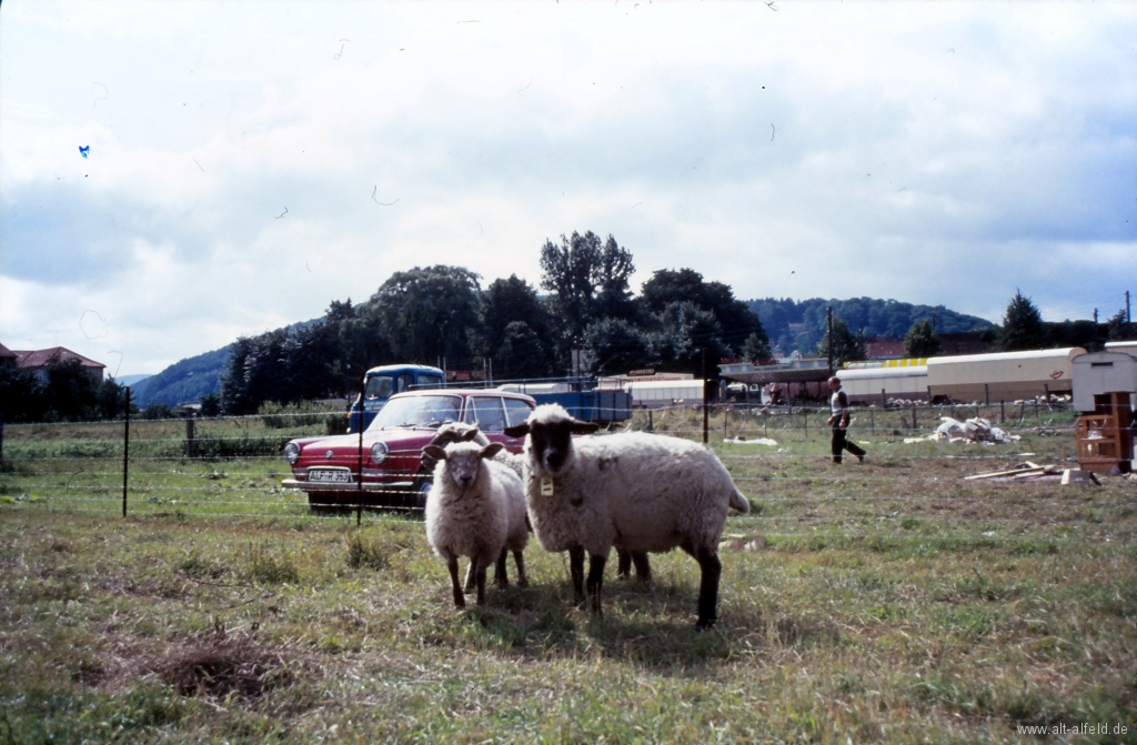 Schützenfest1969-101