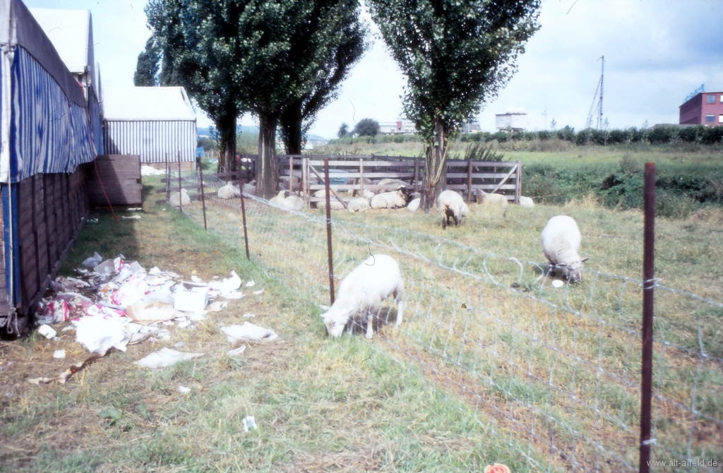 Schützenfest1969-103