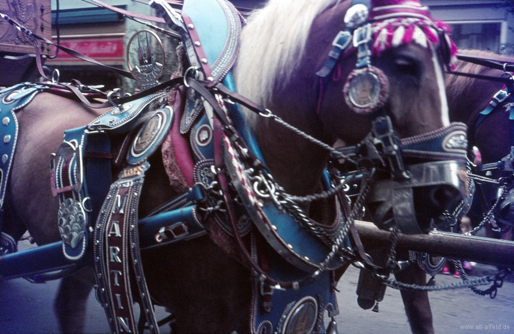 Schützenfest1977-38