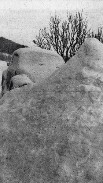 JANUAR: Das Jahr 1979 überraschte manchen Pkw-Besitzer auf ganz und gar nicht freudige Art und Weise. Ganze Schneeberge waren wegzuschaufeln